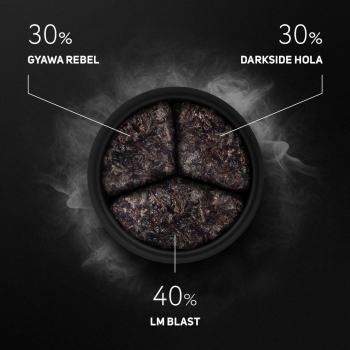 Preview: Mischungen mit GYAWA REBEL 3